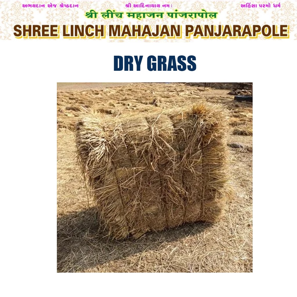 Dry Grass