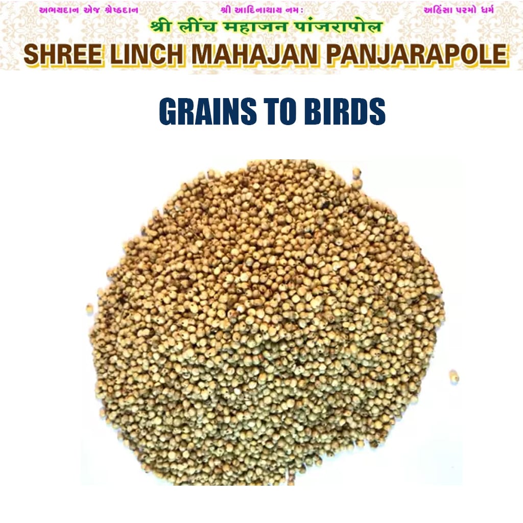 Grains Rotla