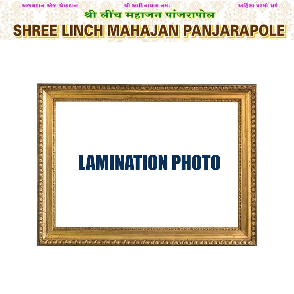 Lamination Photo