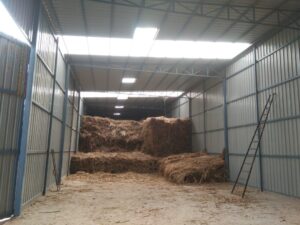 IMG-20240316-WA0054